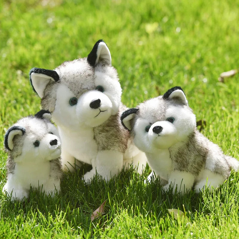 Kawaii Puppy Stuffed Toys - Cute 10/20cm Plush Husky Dolls