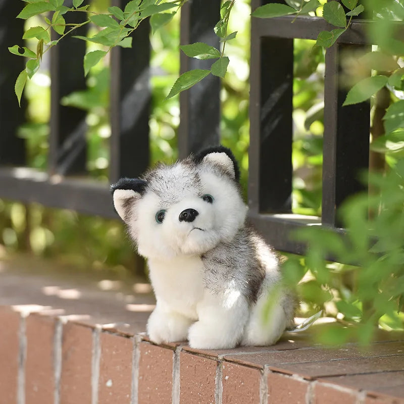 Kawaii Puppy Stuffed Toys - Cute 10/20cm Plush Husky Dolls