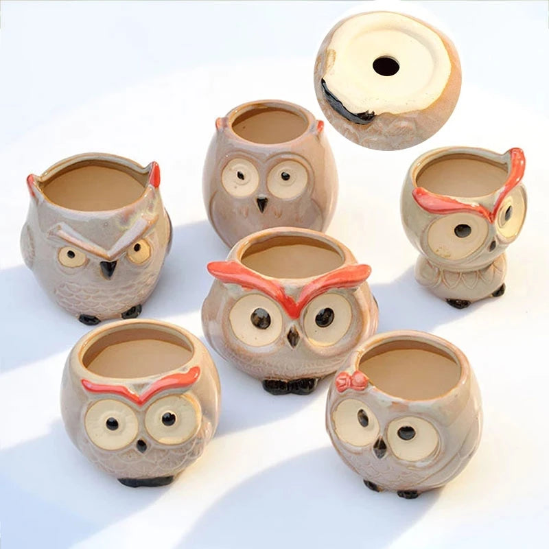 Cute Owl Ceramic Flower Pot