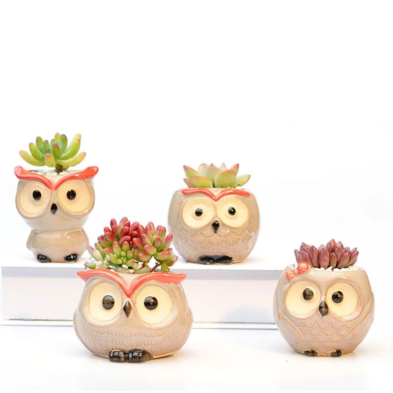 Cute Owl Ceramic Flower Pot