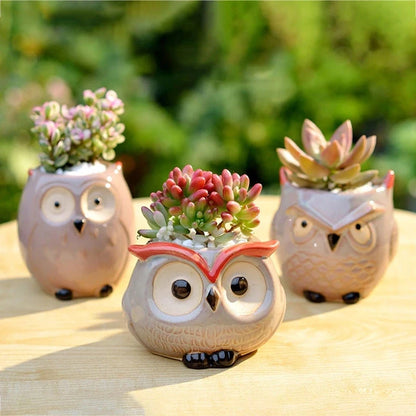 Cute Owl Ceramic Flower Pot